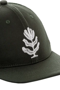 Nat Cap